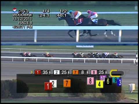 2011 Autumn Stakes (G2)