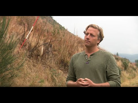 ITV News covers One Life One Tree Sequoia Project - Hannah Thomas and Henry Emson