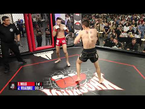 Full Title Fight: Trevor Wells vs Jesse Velazquez (2018)