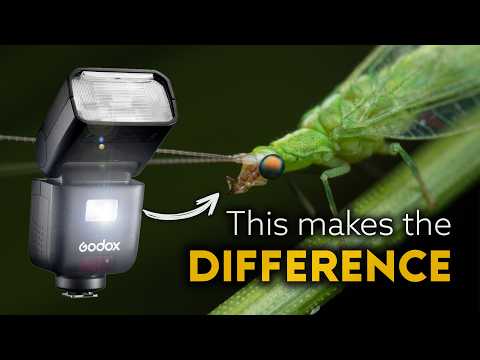 This Flash Changed My Macro Photography at Night – Godox V480 Review