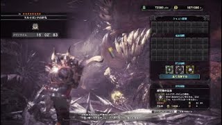 MHW ヘルプマンが行く ！　その1　　ネルギガンテ戦
