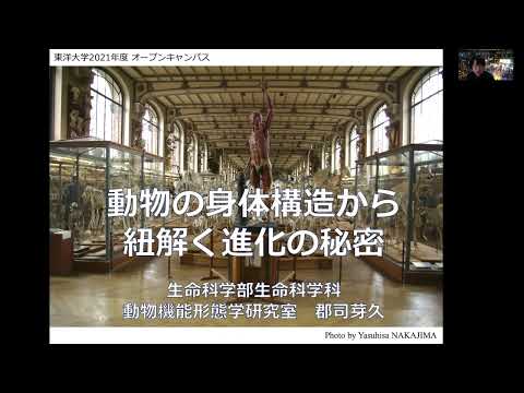 動物の身体構造から紐解く進化の秘密：生命科学科模擬講義