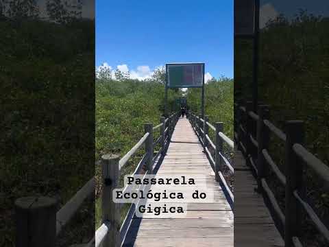 Passarela Ecológica Gigica, Mucuri, BA #praia #litoralbaiano #turismo