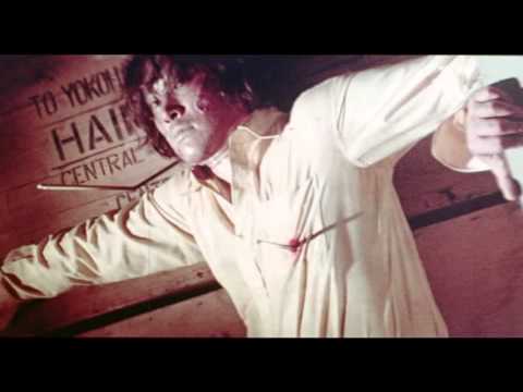 Sister Street Fighter Trailer (1974)