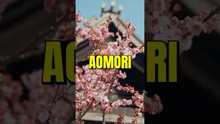 Cruise Into This Hidden Gem in Japan 🇯🇵🌸