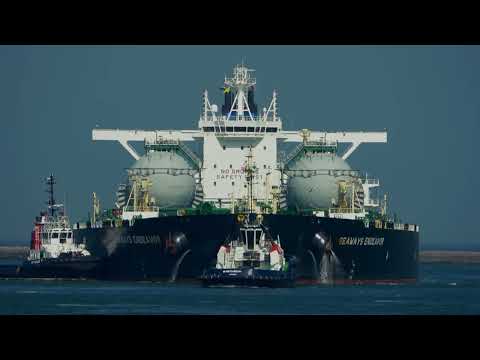 ShipSpotting in Rotterdam, The Netherlands - Part 120 (4K)