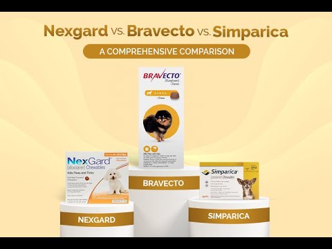 Nexgard vs. Bravecto vs. Simparica: A Comprehensive Comparison