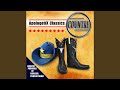 Save Your Voice (Quiet Down Boy) (Parody of "Save a Horse (Ride a Cowboy)")