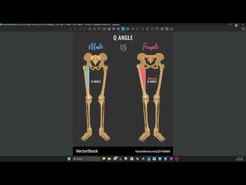 How to model a human in Maya 2B Female proportions