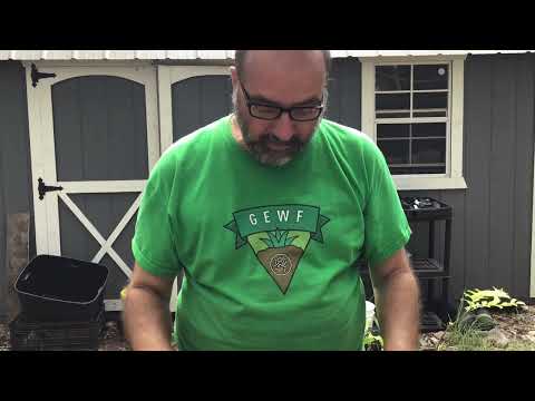 Harvesting worm castings using a manual sifter