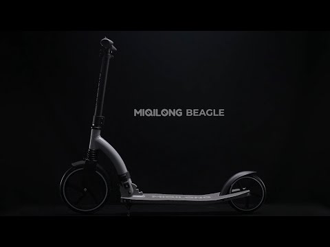 Видео обзор Самокат Miqilong Beagle серый