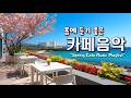 봄에 듣기 좋은 카페 음악 봄 느낌 가득한 기분 좋은 Playlist 중간 광고 없음 