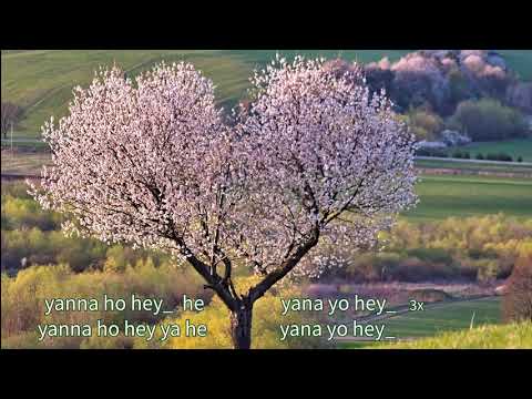 26. Wochenlied - Yana, Herzchant - Herz-Medizinlied - Lied zum Mitsingen (W18/2021)