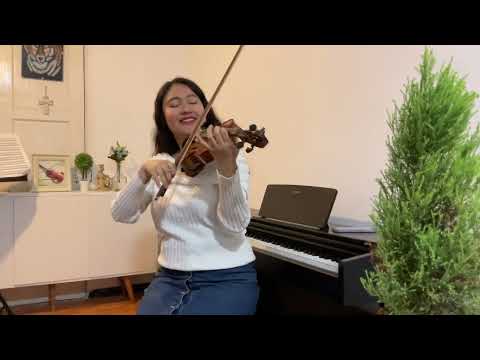 Video 6 de Violinista Para Eventos