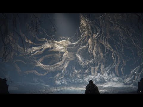 Elden Ring - Demetrio VS Malenia riscaldamento