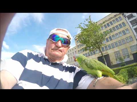 BROZI I KUKI W PIGUŁCE !!!