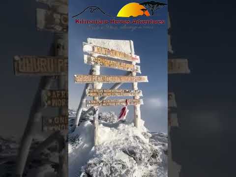 Africa Local Guides with Experiences