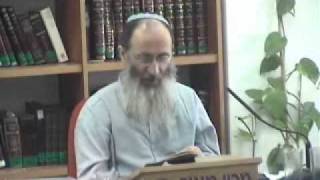 15203-7 הכל דבש!