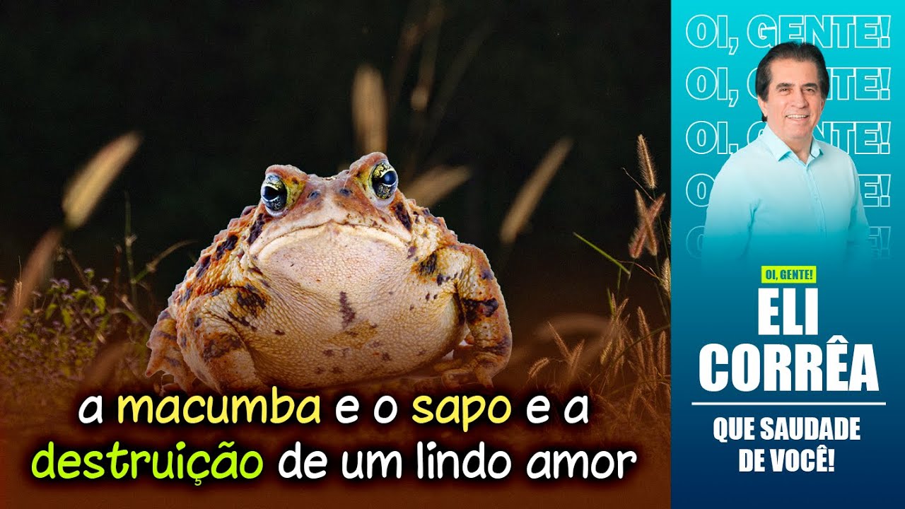 A macumba e o sapo e a destruição de um lindo amor | Eli Corrêa Oficial |