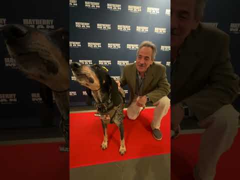 I met the “Soup Nazi” from @SeinfeldTV in #hollywood ! #dog #funnyvideo #seinfeld #tvshow #comedy