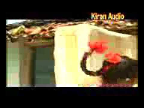 Titi tiyan Nagpur video