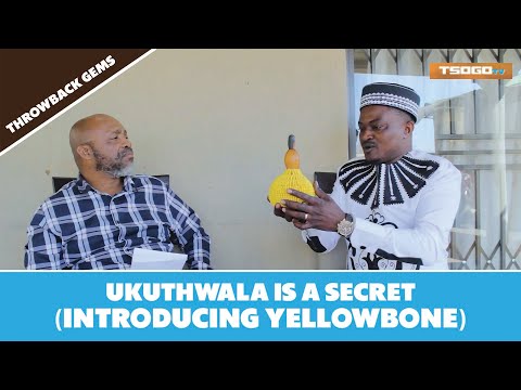 Isithwalo Is A Secret (Introducing Yellow Bone)