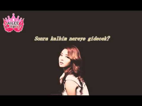 Ailee Ft. Verbal Jint - Into The Storm (Türkçe Altyazılı / Ailee Turkey)