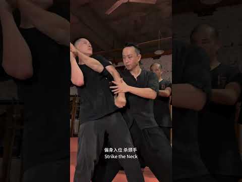 Wing Chun Classroom Throw Technique Revealed with @WingchunTuTengyao