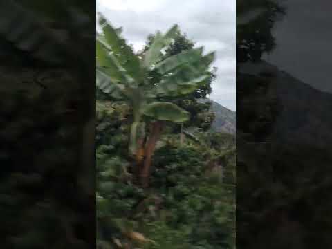de Ciudad Bolívar Antioquía al Carmen de Atrato Chocó