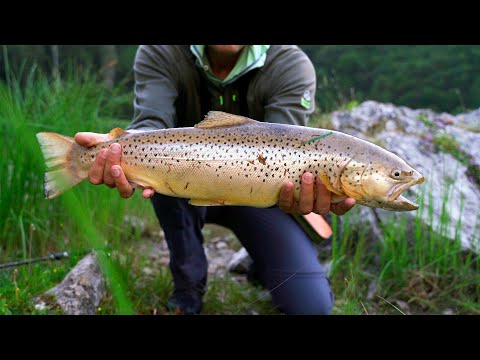 Catching a Huge Trout in a High Mountain Lake! 01.07.2021