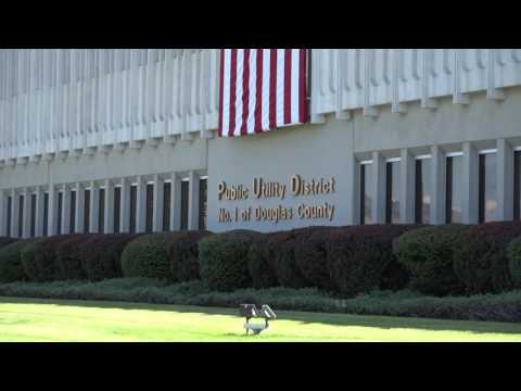 WUWV Bill Dobbins Retires