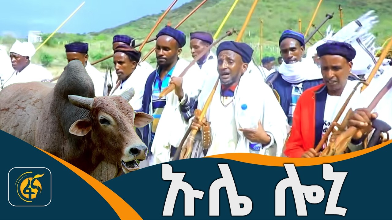 የእንስሳት ጥብቅና