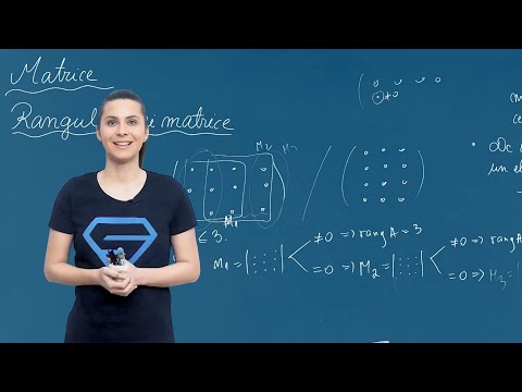 Matrice – Rangul unei matrice - Clasa a XI-a