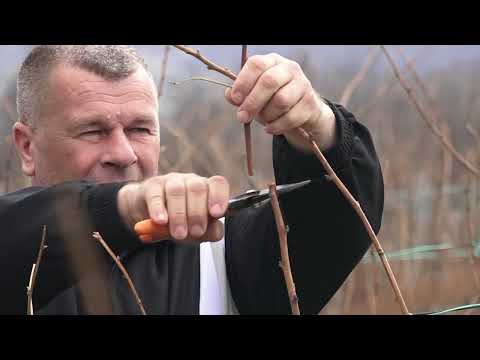 Agro karavan ep. 321 - Cerova - 10.03.2024.