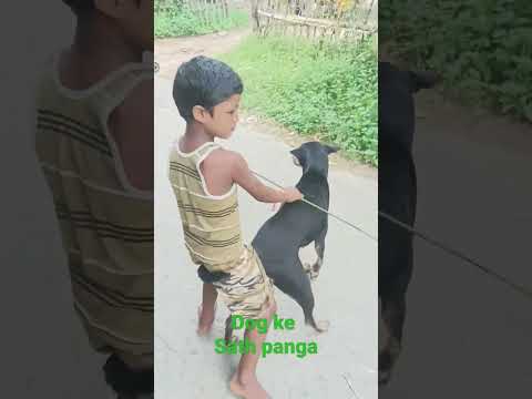 DOG MARA LATH😂😂😂😂😂😂😂🤣🤣🤣#gajendra