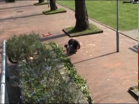 Glenn Jensen - Super Caveman