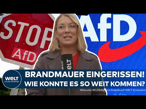KIEL: Brandmauer eingerissen! Grüne und AfD stimmen gemeinsam ab – Das war ein „schwerer Fehler“