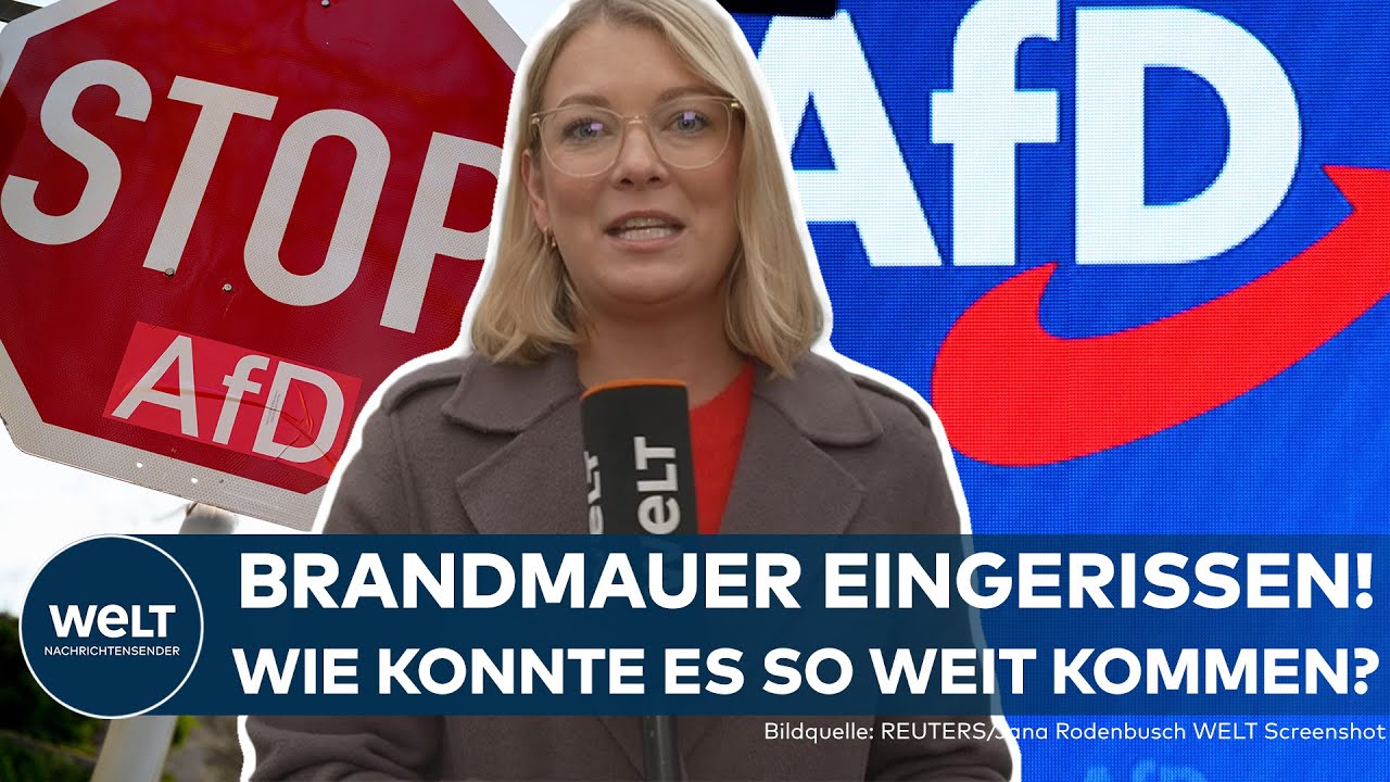 KIEL: Brandmauer eingerissen! Grüne und AfD stimmen gemeinsam ab – Das war ein „schwerer Fehler“