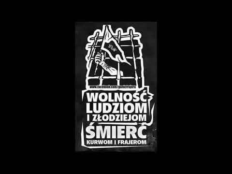 Pozycja Inteligencji Organizacji jest to Zaplanowane