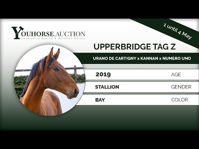 Upperbridge Tag Z