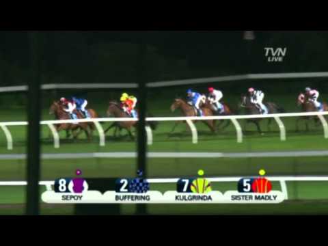 2011 Manikato Stakes - Sepoy
