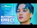 EXO Butterfly Effect Line Distribution Lyrics Color Coded PATREON REQUESTED