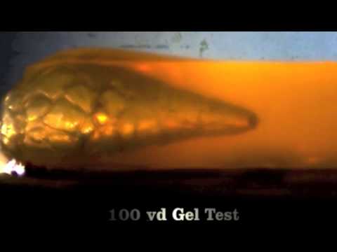 Remington AccuTip Sabot Slug in gel