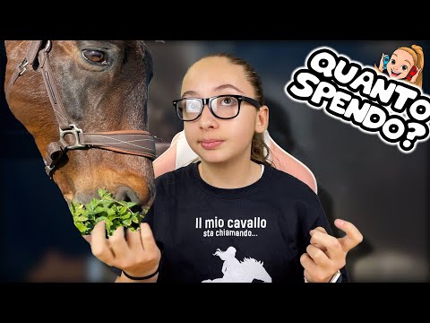 ❓ FARE EQUITAZIONE COSTA DAVVERO COSÌ TANTO? - ECCO DA DOVE SI PUÒ PARTIRE E QUANTO SPENDO IO 👌🏻