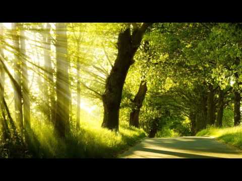 Hybrid - Until Tomorrow [Instrumental]