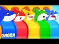 Baby Shark Family Colors YouKids Songs For Kids