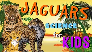 Jaguars | Science for Kids gameplay video by aliciawalsh@kecg.org, 4:17 duration