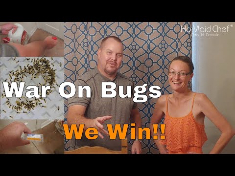 How To, No More Bugs And Ants In Our Florida Home