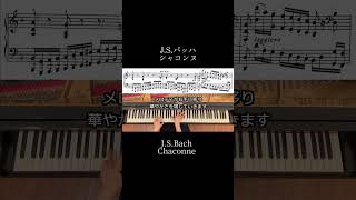 Download lagu バッハが到達した、音楽の「究極」と「深淵」 J.S.バッハ《シャコンヌ》 #ピアノ #バッハ #piano #bach #classic mp3