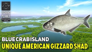 Unique American Gizzard Shad Blue Crab Island - Fishing Planet